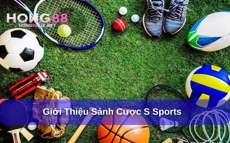 S Sports là sảnh cược thể thao chất lượng hàng đầu
