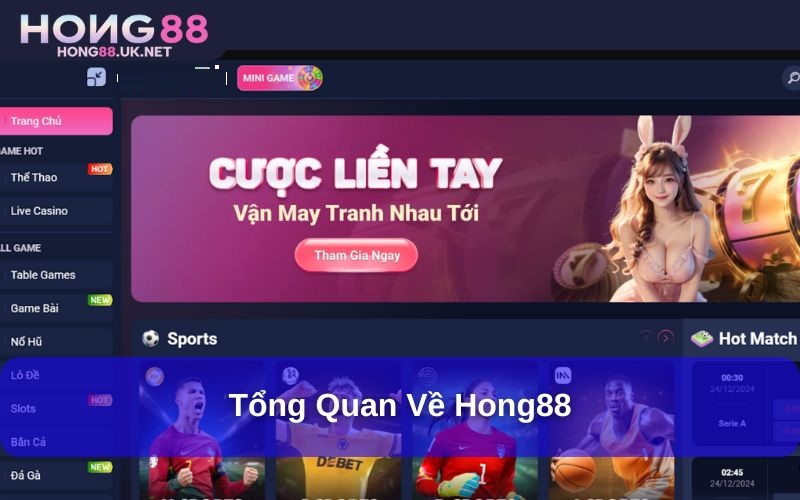 Tổng quan về hong88
