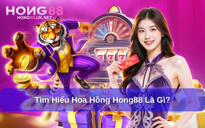 Tìm hiểu về chương trình hoa hồng Hong88