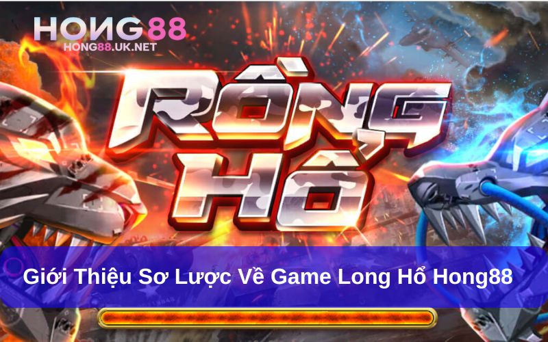 Long hổ Hong88 uy tín và minh bạch