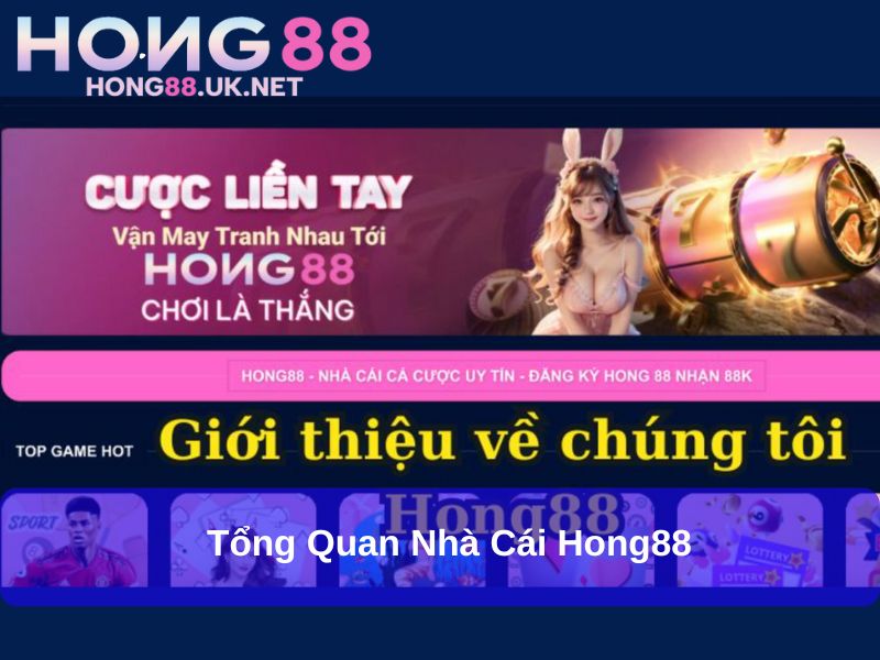 Tổng quan nhà cái Hong88