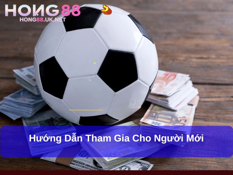Hướng dẫn tham gia cho người mới