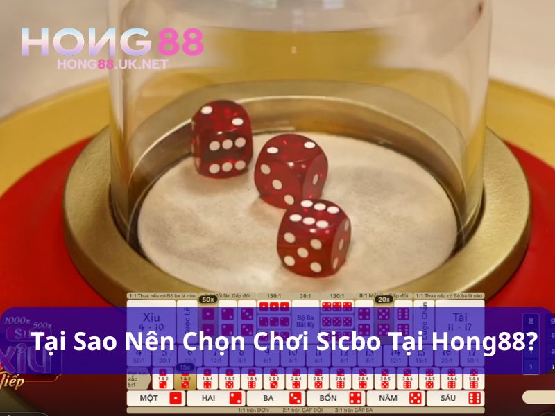 Sicbo Hong88 có tỷ lệ thưởng cao